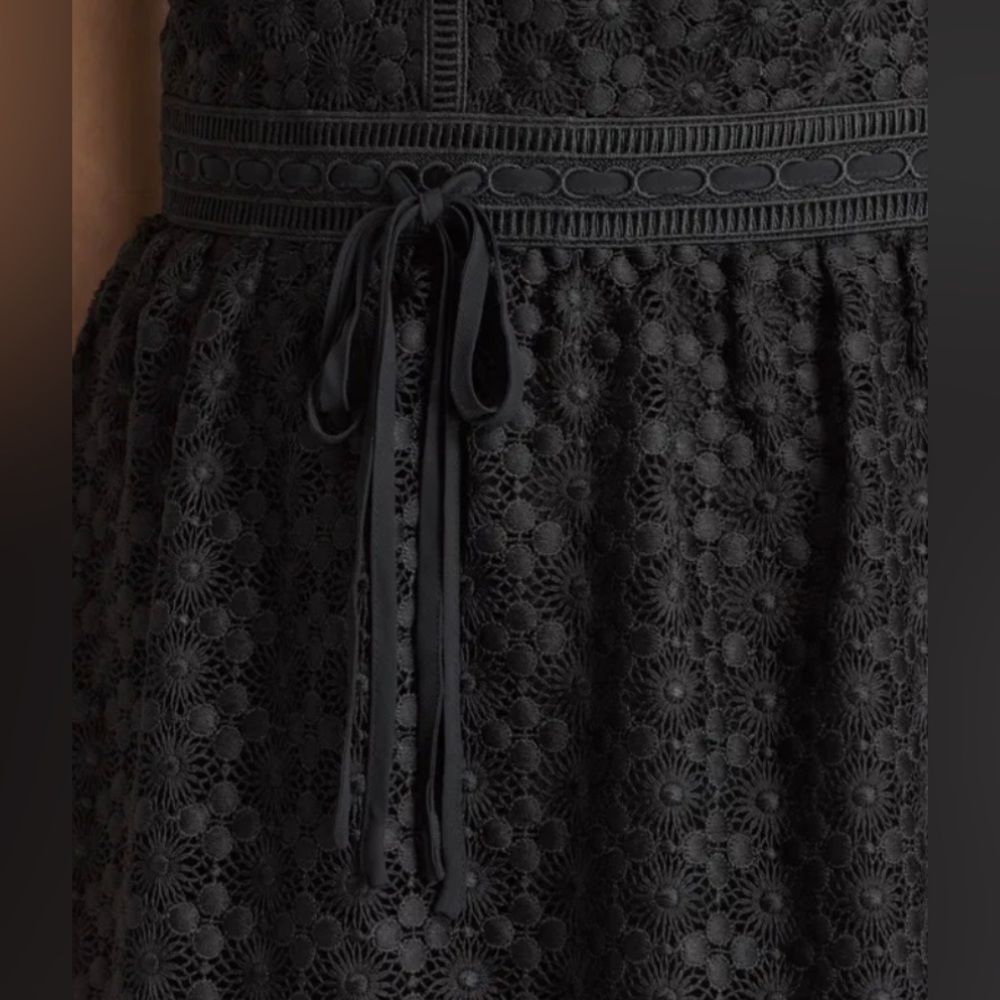 All Saints Black Lace Maxi Dress with Sheer Skirt Panels - Picture 15 of 16